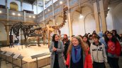 Cartelera cultural del Ministerio de las Culturas invita a disfrutar 300 panoramas en vacaciones de invierno