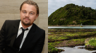 La riqueza ecológica de la Isla Guafo, que DiCaprio donará para ser parque nacional en Chile
