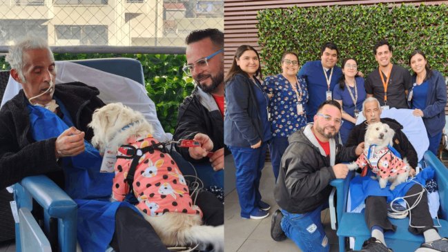 Hospital de Viña del Mar permite visitas de mascotas a pacientes críticos