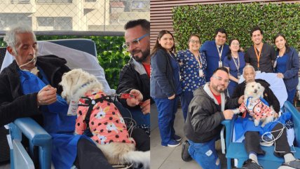   Hospital de Viña del Mar permite visitas de mascotas a pacientes críticos 