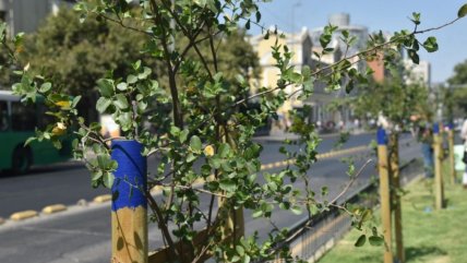 Ciudades Verdes: La estrategia impulsada por el Gobierno para mejorar la vida urbana  