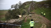 Inglaterra: Cuatro años de cárcel para dos sujetos que talaron el