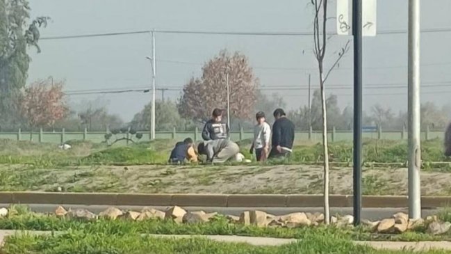 Vecinos de Colina denunciaron faenamiento de caballos en plena vía pública