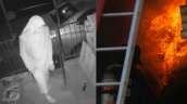 Delincuente que robaba disfrazado intentó asesinar a su expareja en Santa Juana