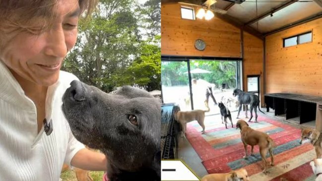 Hombre vendió su Ferrari para financiar un refugio de perros: Mascota le salvó la vida