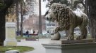 León de mármol de parque Italia de Valparaíso perdió su cola