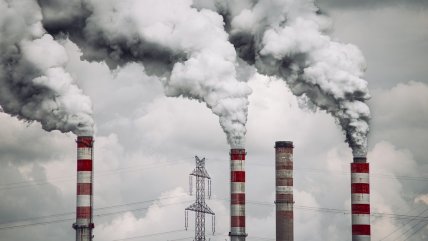   Greenpeace celebró dictamen 