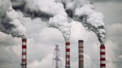 Greenpeace celebró dictamen