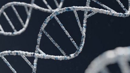   Contraloría detectó atrasos de hasta 13 años en ingreso de perfiles de ADN a registro clave en investigaciones 