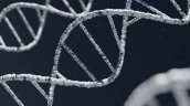 Contraloría detectó atrasos de hasta 13 años en ingreso de perfiles de ADN a registro clave en investigaciones