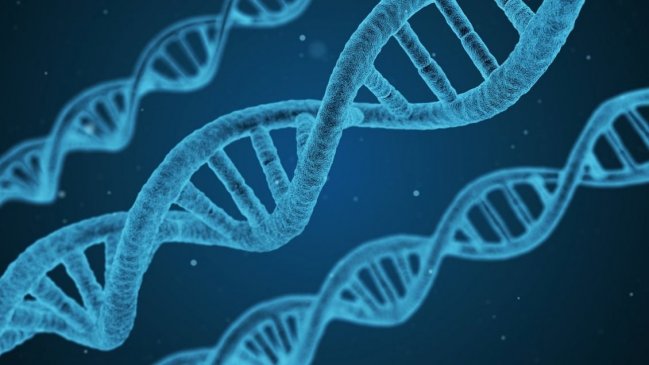 Registro Nacional de ADN: Expertos y parlamentarios urgen soluciones ante 