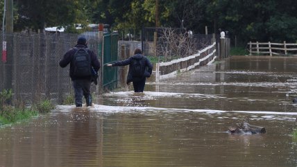   Alcalde de Mulchén: Las lluvias han sido tremendas, inexplicables 