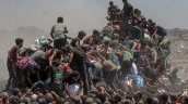 Enviado de Trump a Medio Oriente visitará puntos de distribución de comida en Gaza
