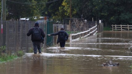   Estragos por lluvias en el Biobío: vecinos del río Andalién enfrentan la situación 