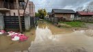 Desborde del Río Andalién obligó evacuar sector Santa Rita de Concepción