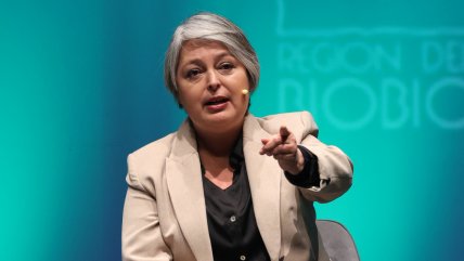   ¿Jara socialdemócrata?: El debate entre el oficialismo y la oposición tras dichos de Luis Escobar 