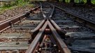 Madera usada en vías de trenes del norte revela historia climática de 300 años