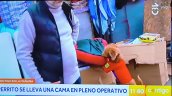 ¿Un perrito ladrón? El divertido momento que dejó el operativo en Barrio Meiggs