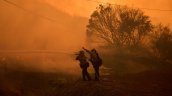 Incendios forestales azotan California con más de 44 hectáreas afectadas