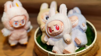   Insólito: Ladrones asestaron millonario robo de Labubus en EE.UU. 