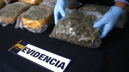  Aysén: Condenan a dos exdetectives por mentir en causa de drogas  