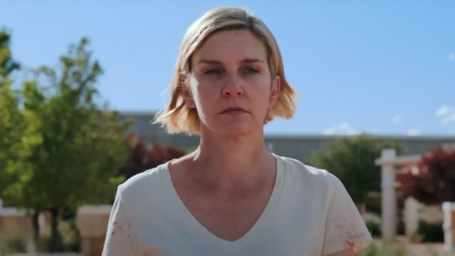Serie de Rhea Seehorn y creador de