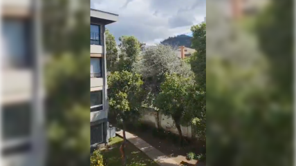   Fuertes ráfagas de viento en distintas comunas de Santiago 