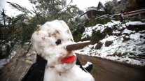 Las hermosas postales que dejó la nieve en la precordillera de Santiago