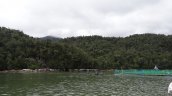 SMA ordenó clausurar dos centros de salmonera extranjera en Aysén