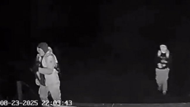 Contratistas forestales y violencia en el sur: Mucha baja estadística esconde una extorsión