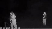 Gobierno atribuye asesinato de guardia forestal a