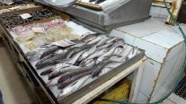 Septiembre llega con la veda de la merluza común