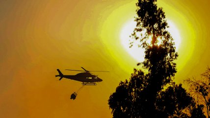   Preocupación por focos de incendios forestales en Penco 