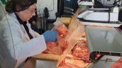 Autoridades de Salud suman un centenar de fiscalizaciones por Fiestas Patrias en Antofagasta