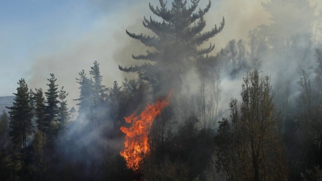 Alerta roja en Paihuano por incendio que ha consumido 15 viviendas