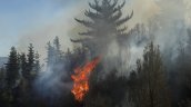 Alerta roja en Paihuano por incendio que ha consumido 15 viviendas