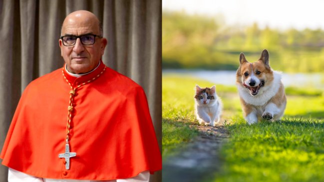 Cardenal Chomalí anunció especial ceremonia para bendecir a mascotas: ¿Cómo participar?