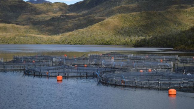 El pescado chileno gana terreno en Rusia