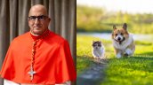 Cardenal Chomalí anunció especial ceremonia para bendecir a mascotas: ¿Cómo participar?