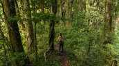 World Travel Awards 2025: Chile se coronó en cinco categorías de los