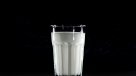¿Causa hinchazón y obesidad? Los mitos sobre la leche