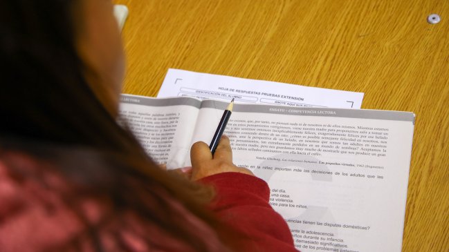 Problemas en el Simce: Agencia de Calidad de la Educación apunta a proveedor