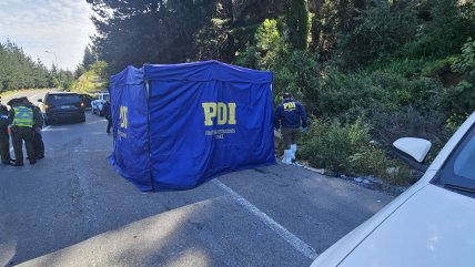   Macabro hallazgo en Penco: Encuentran cuerpo con al menos 10 impactos de bala 