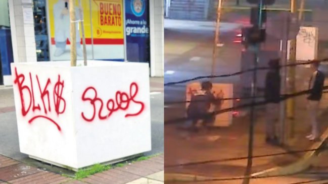 Puerto Montt: Grafitero pagará 300 mil pesos por haber rayado un macetero público