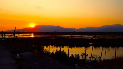 Quilicura, el polo continental de data centers que lucha por mantener vivo su humedal