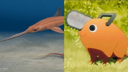   Científicos bautizan nuevo tiburón fósil en honor a 