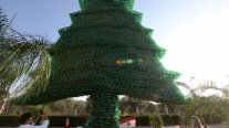 Líbano: árbol de 10 metros hecho de botellas plásticas busca batir récord Guinness