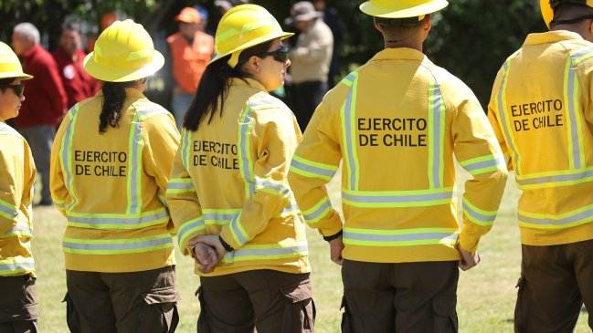 Puerto Montt duplica sus cortafuegos ante verano 
