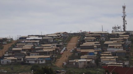 Dirigenta de la megatoma: 