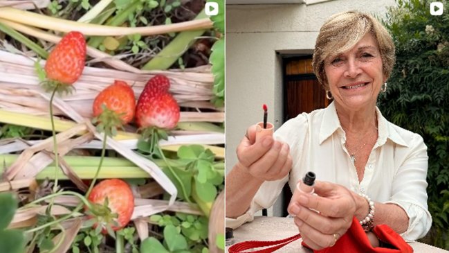 Beatriz Sánchez: Me cargan las noticias falsas, pero vemos a Matthei con cosmético rojo y mostrando frutillas